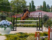 CHIMIRRI B KATAR CampITA2013- S5 1388 : CHIMIRRI BRUNO, Campionati Italiani 2013, Cattolica, Horse Riviera Resort, KATAR Z, foto di Stefano Secchi ©